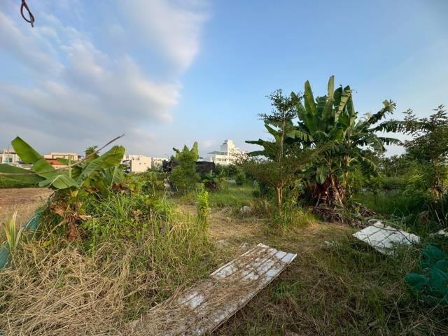 西區建地-4