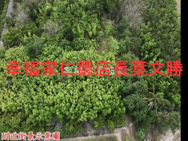 台南農地-16