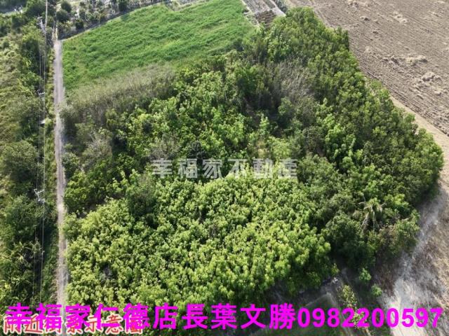 台南農地-13