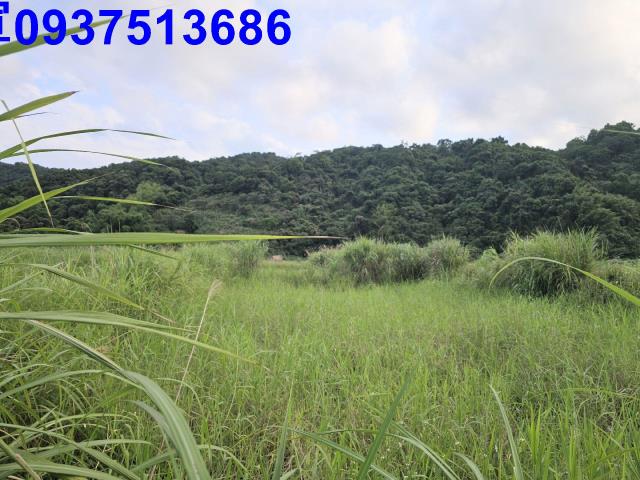 宜蘭農地-2