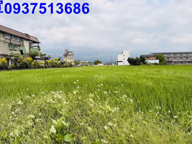 宜蘭農地-1