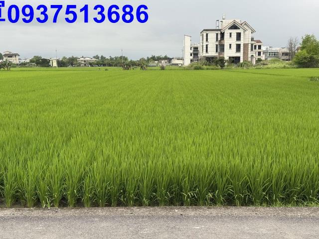 宜蘭員山農地-9