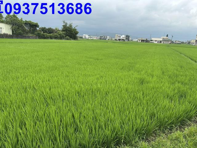宜蘭宜蘭市農地-6