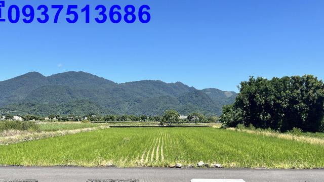宜蘭三星農地-5