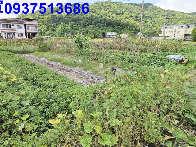 宜蘭員山農地-4