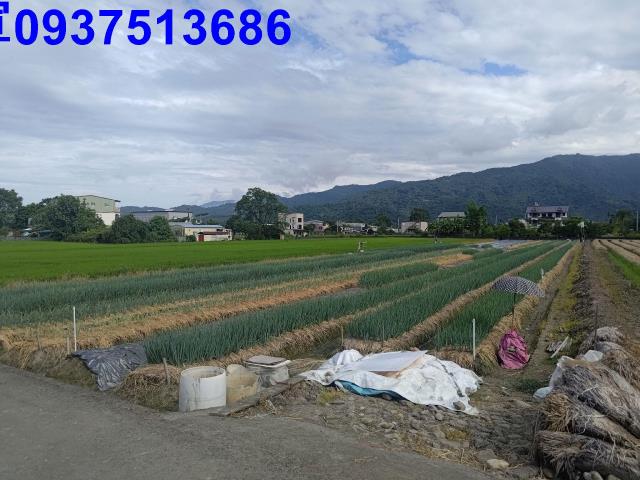 宜蘭三星農地-13