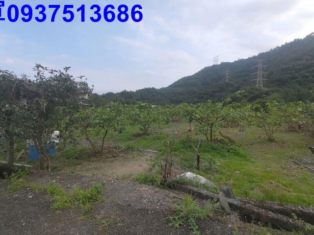 宜蘭員山農地-12