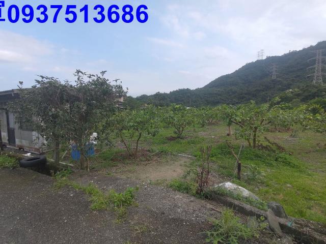 宜蘭員山農地-14