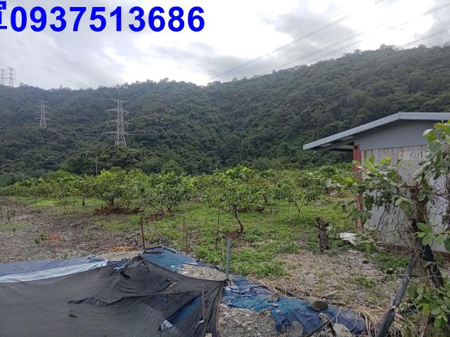 宜蘭員山農地-2