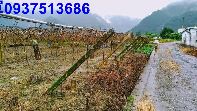 宜蘭員山農地-8