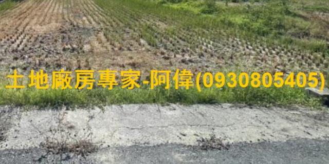 高雄橋頭農地-1