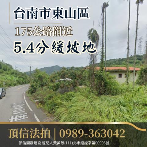 台南東山農地法拍-1