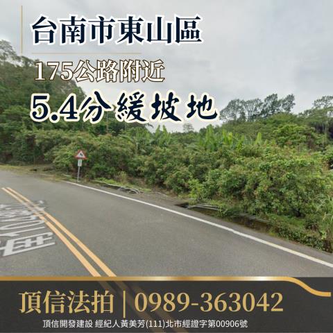 台南東山農地法拍-2