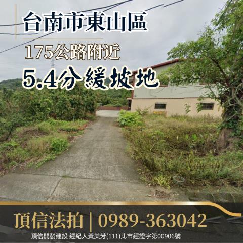 台南東山農地法拍-3