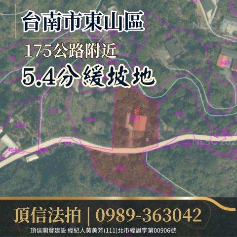 台南東山農地法拍-4