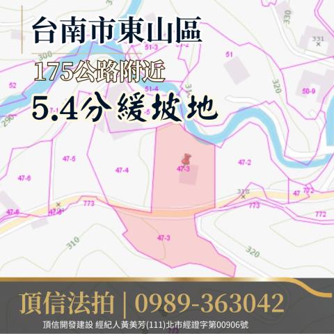 台南東山農地法拍-5