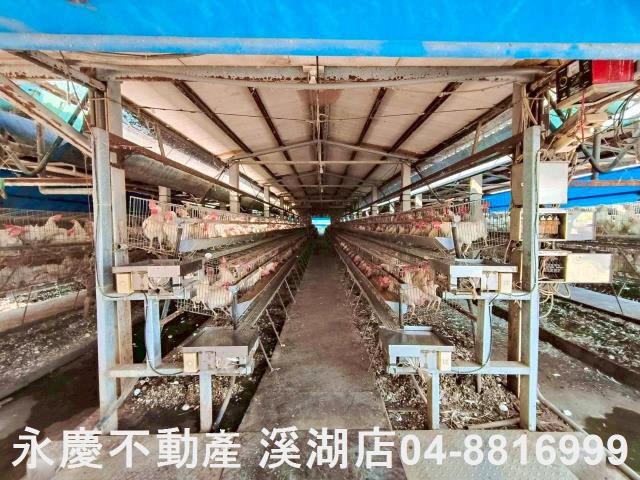 埔鹽農地-6