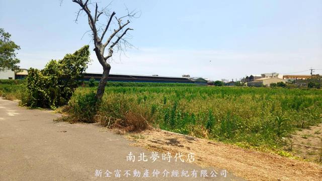 新營農地-6