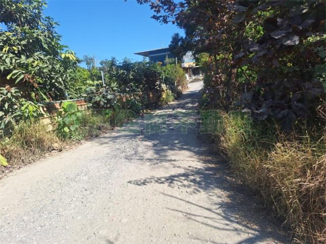 鳥松農地-7