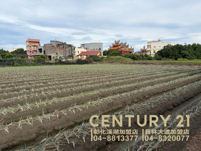 彰化農地-3