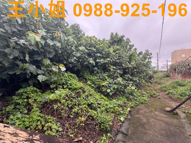 桃園蘆竹建地-8