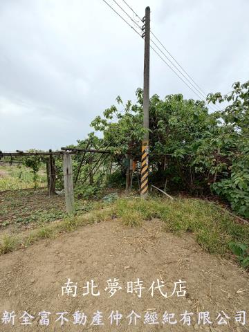 高雄路竹農地-9