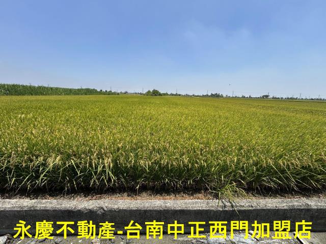 台南柳營農地-4