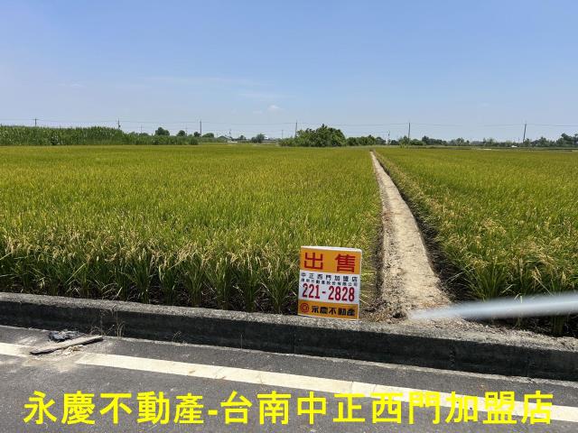 台南柳營農地-6