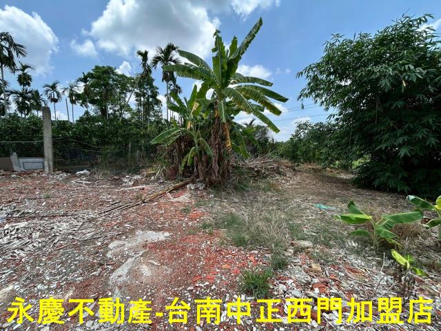 台南白河建地-12