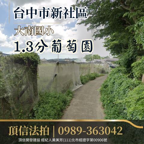 新社農地拍賣-1