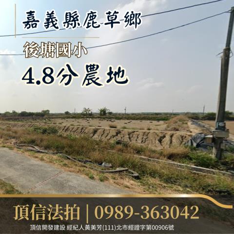 嘉義法拍農地-1