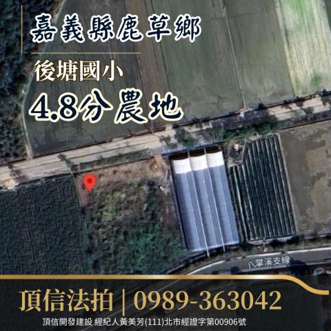 嘉義法拍農地-2