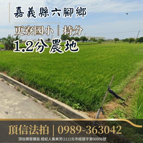 嘉義農地法拍-1