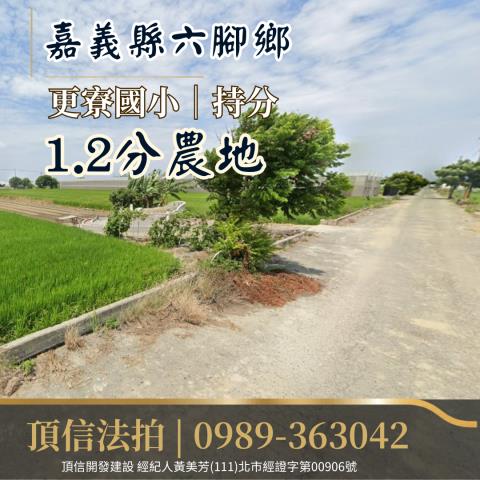 嘉義農地法拍-2