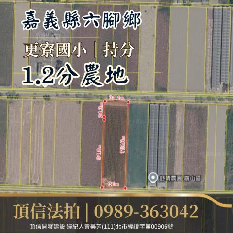 嘉義農地法拍-3