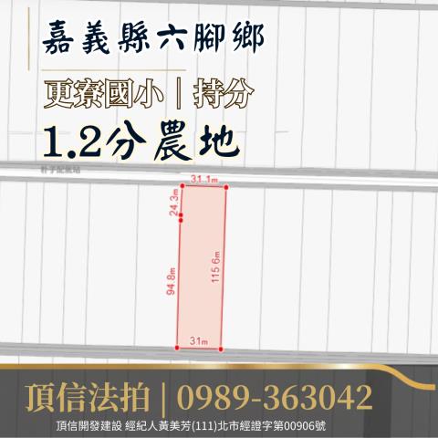 嘉義農地法拍-4