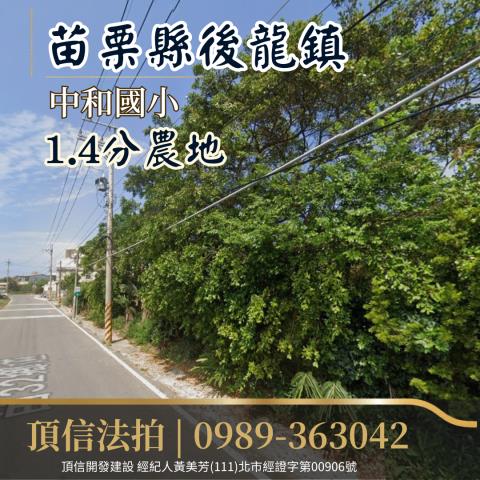 苗栗後龍法拍農地-2