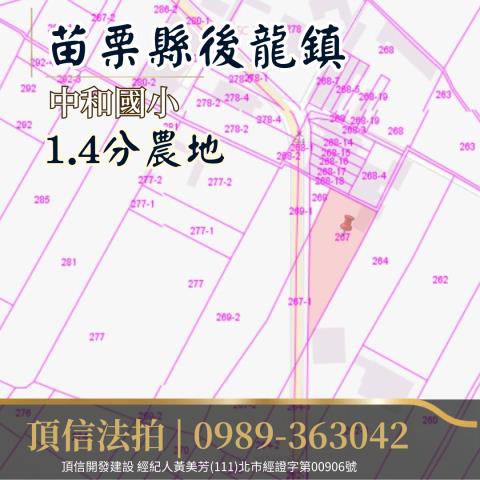 苗栗後龍法拍農地-4