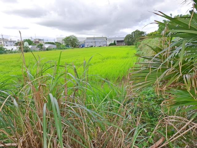 桃園楊梅農地-4