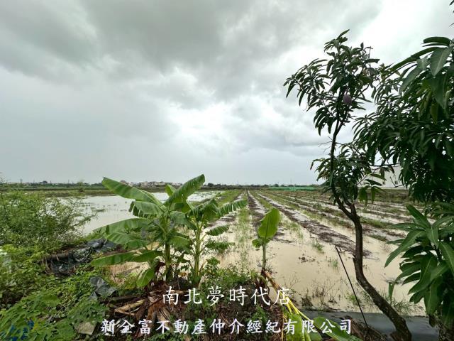 鹽水農地-3