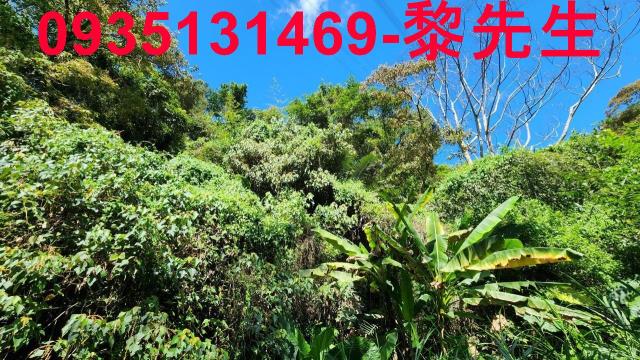 芎林林地-15