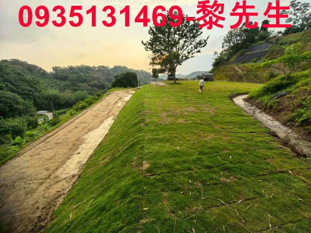 寶山林地-2