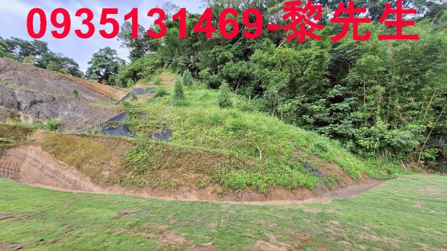 寶山林地-9