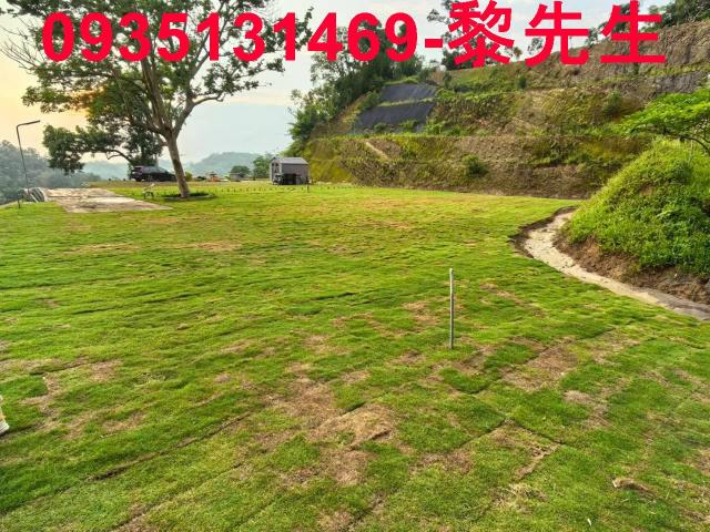 寶山林地-2