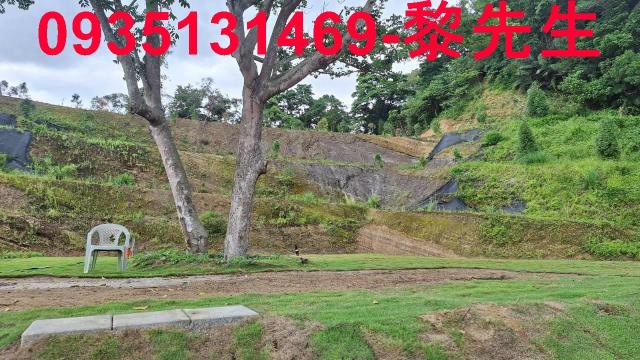 寶山林地-7