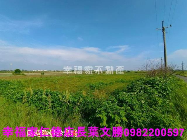 將軍農地-8