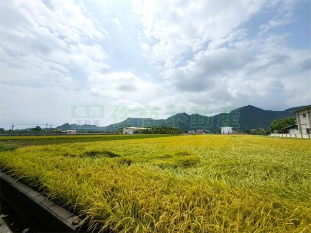 美濃農地-3