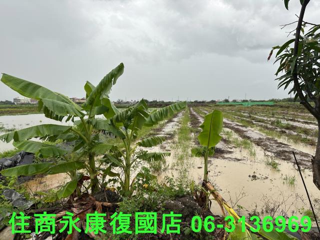 台南鹽水農地-2