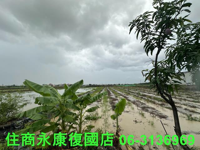 台南鹽水農地-4