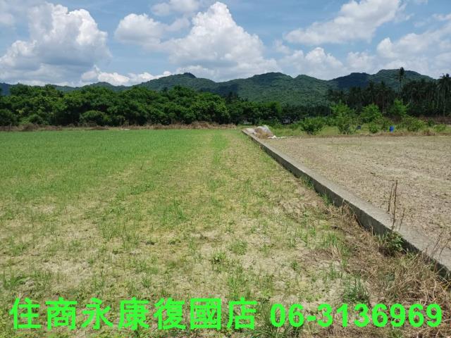 高雄旗山農地-15